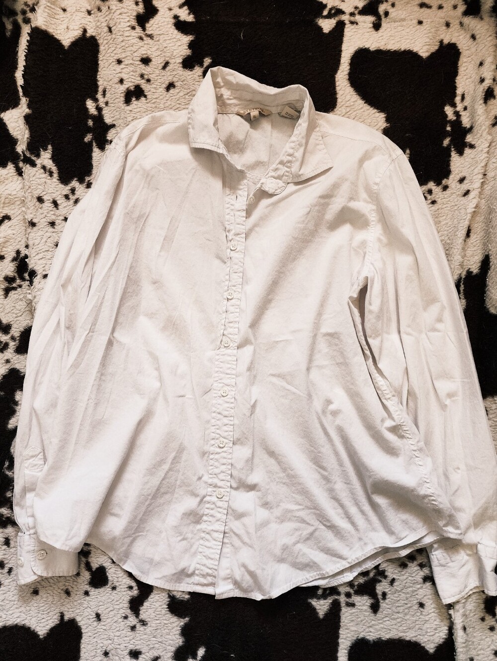 "STETSON" WOMEN'S CLASSIC BUTTON UP - WHITE